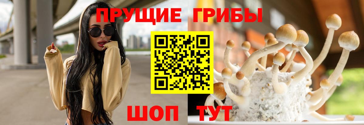 Сатка  Галлюциногенные грибы Magic Shrooms  Вход с VPN 