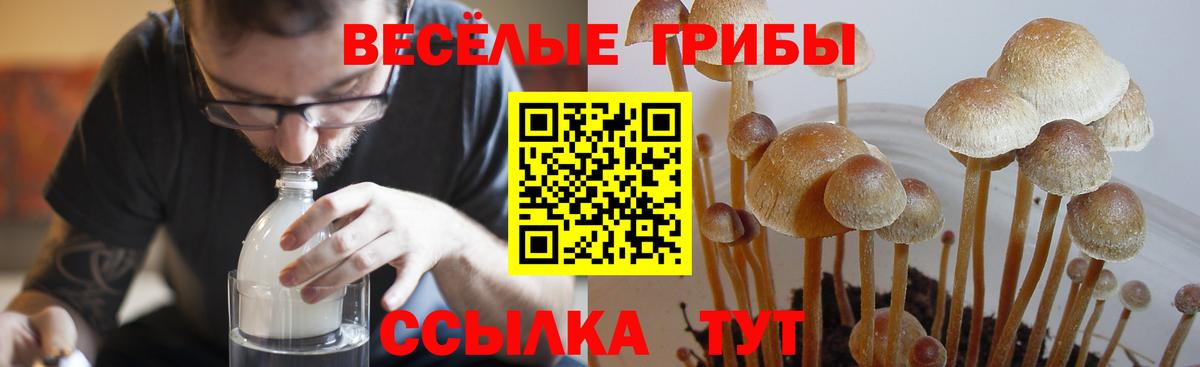 Галлюциногенные грибы ЛСД Сатка